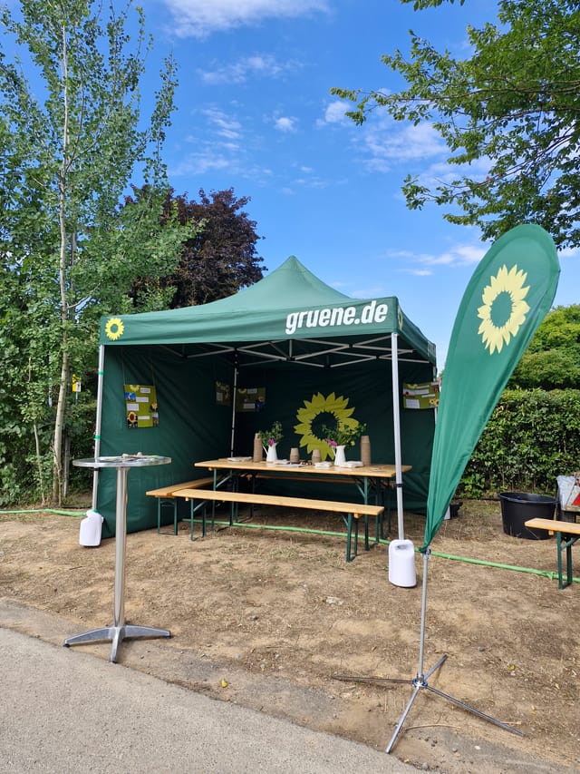 1.000 Sonnenblumen für Steinheim